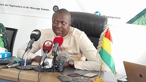 Conséquences de la guerre en Ukraine sur la sécurité alimentaire: voici les mesures prises en Guinée