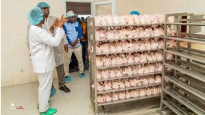 En visite dans une unité avicole à Bangouyah (Coyah), le PM «insiste sur le respect du contenu local»