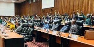 Projet Simandou: le CNT vote l'autorisation de ratification des conventions version CNRD