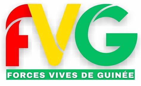 Les Forces Vives de Guinée contestent l’évaluation des partis politiques: "Seul le peuple, à travers des élections régulières, libres et inclusives, a le droit d'évaluer les partis et rejeter ceux qui ne le représente pas"