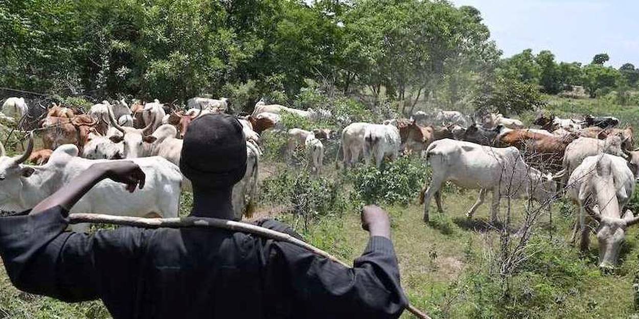 Guinée : Les transhumants sommés de quitter le territoire national au plus tard le 2 mai