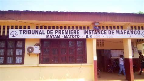 Trafic illicite de cocaïne : une peine de 15 ans requise contre une mère de famille 